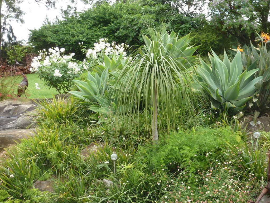 Marula Lodge Swellendam Luaran gambar