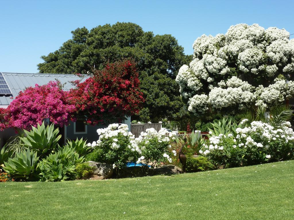 Marula Lodge Swellendam Luaran gambar