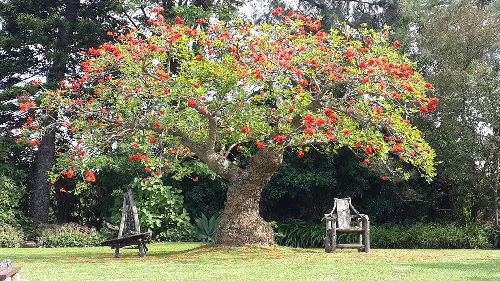 Marula Lodge Swellendam Luaran gambar