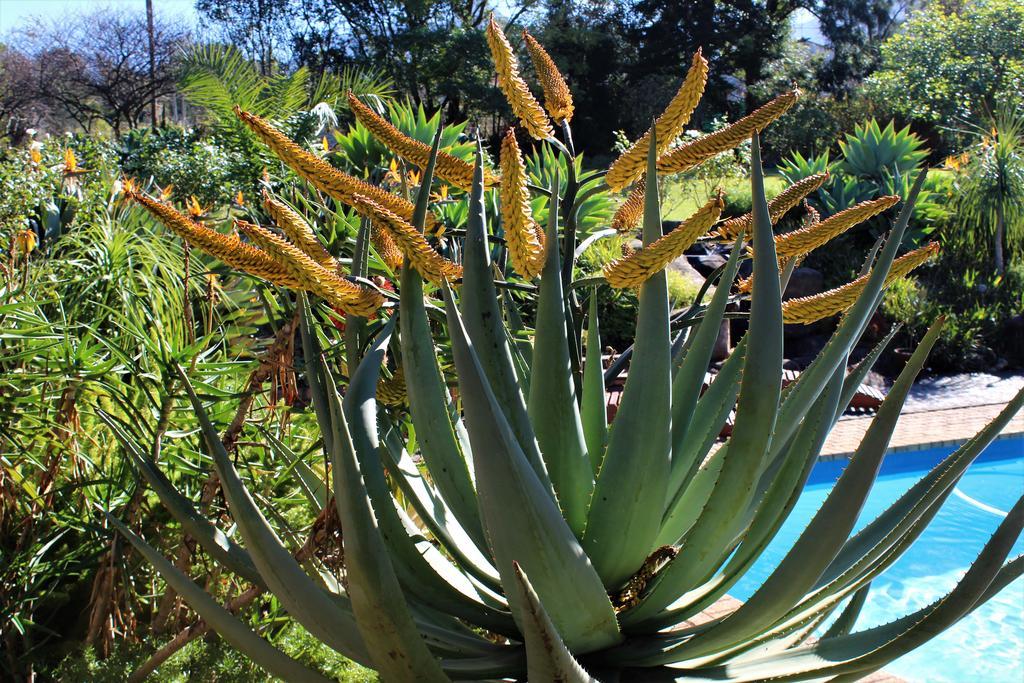 Marula Lodge Swellendam Luaran gambar