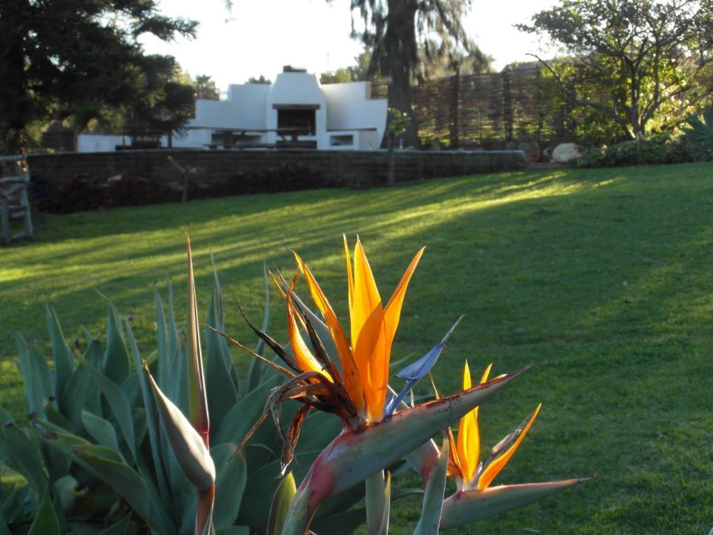 Marula Lodge Swellendam Luaran gambar