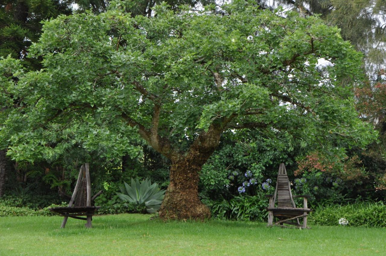 Marula Lodge Swellendam Luaran gambar